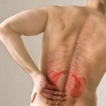 huyệt thận du có tác dụng bổ thận, chữa đau lưng