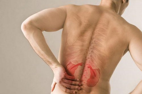 huyệt thận du có tác dụng bổ thận, chữa đau lưng